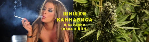 МДПВ Новодвинск