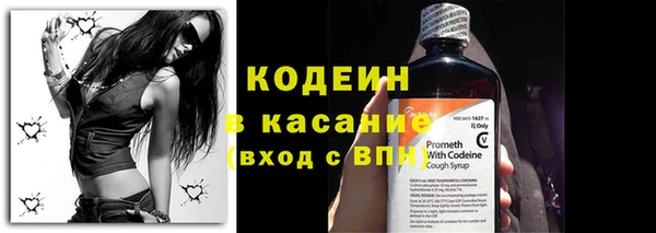 индика Нязепетровск