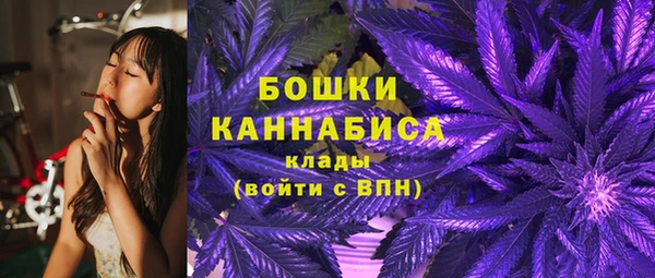 МДПВ Новодвинск