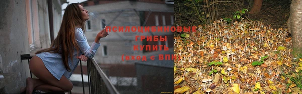 герыч Новокубанск