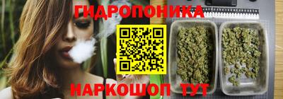 jwh Ирбит