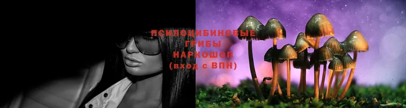 продажа наркотиков  Полысаево  ссылка на мегу как зайти  Галлюциногенные грибы MAGIC MUSHROOMS 