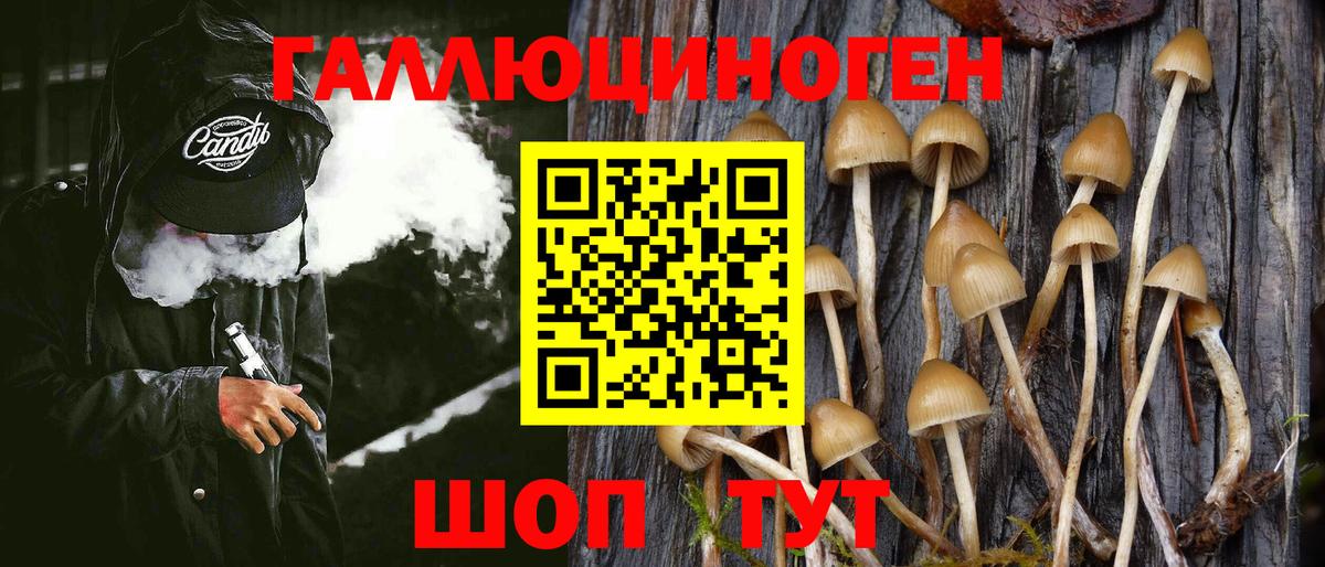 Галлюциногенные грибы MAGIC MUSHROOMS Полысаево