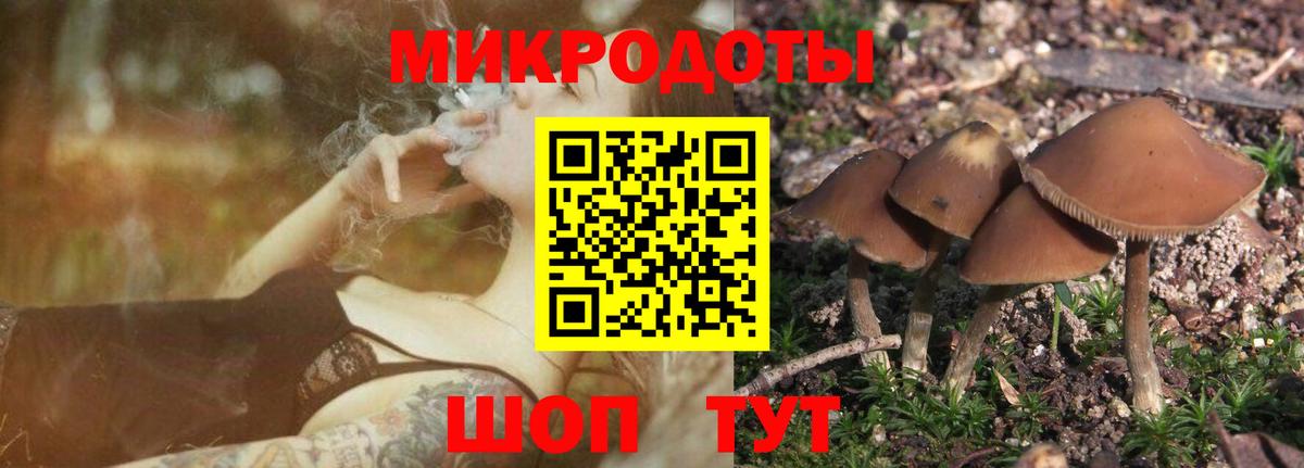 Псилоцибиновые грибы GOLDEN TEACHER  Вход с VPN  Полысаево  Псилоцибиновые грибы Psilocybine cubensis 