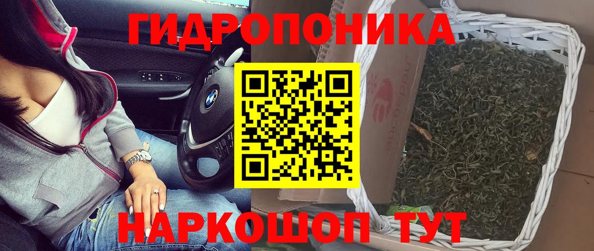 Бошки Шишки VHQ  Канабис семена  Полысаево  Вход с VPN 